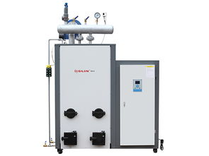 电热蒸汽发生器 高效节能的现代机电设备及其核心配件