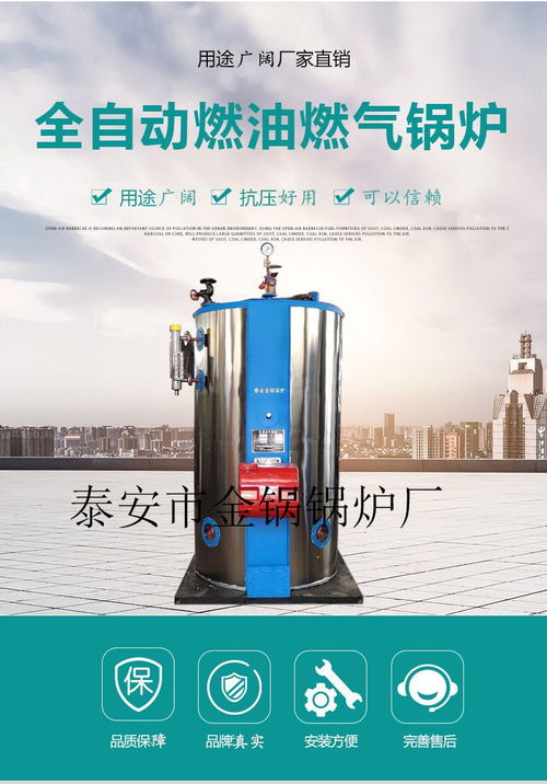 厂家直销燃气锅炉 推动高效节能蒸汽应用新高度
