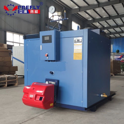 立浦热能500kg燃气蒸汽发生器 高效热能设备助力工业清洗