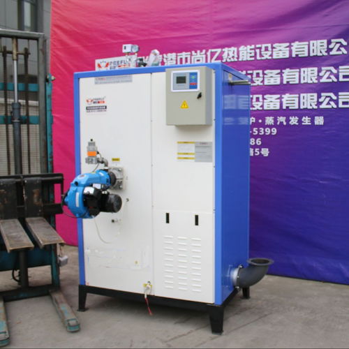 立浦热能LWS0.2 0.7 Y Q燃气蒸汽发生器 高效消毒与环保机电设备的卓越选择