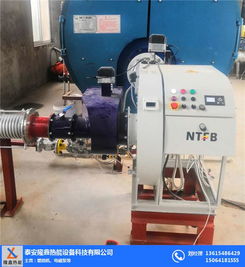 低氮燃烧机与隆鑫热能设备 高效环保的机电设备解决方案